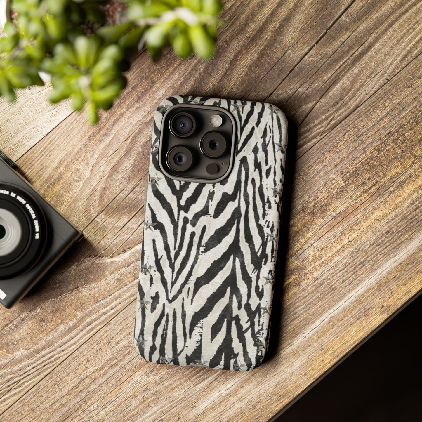 Studded Zebra