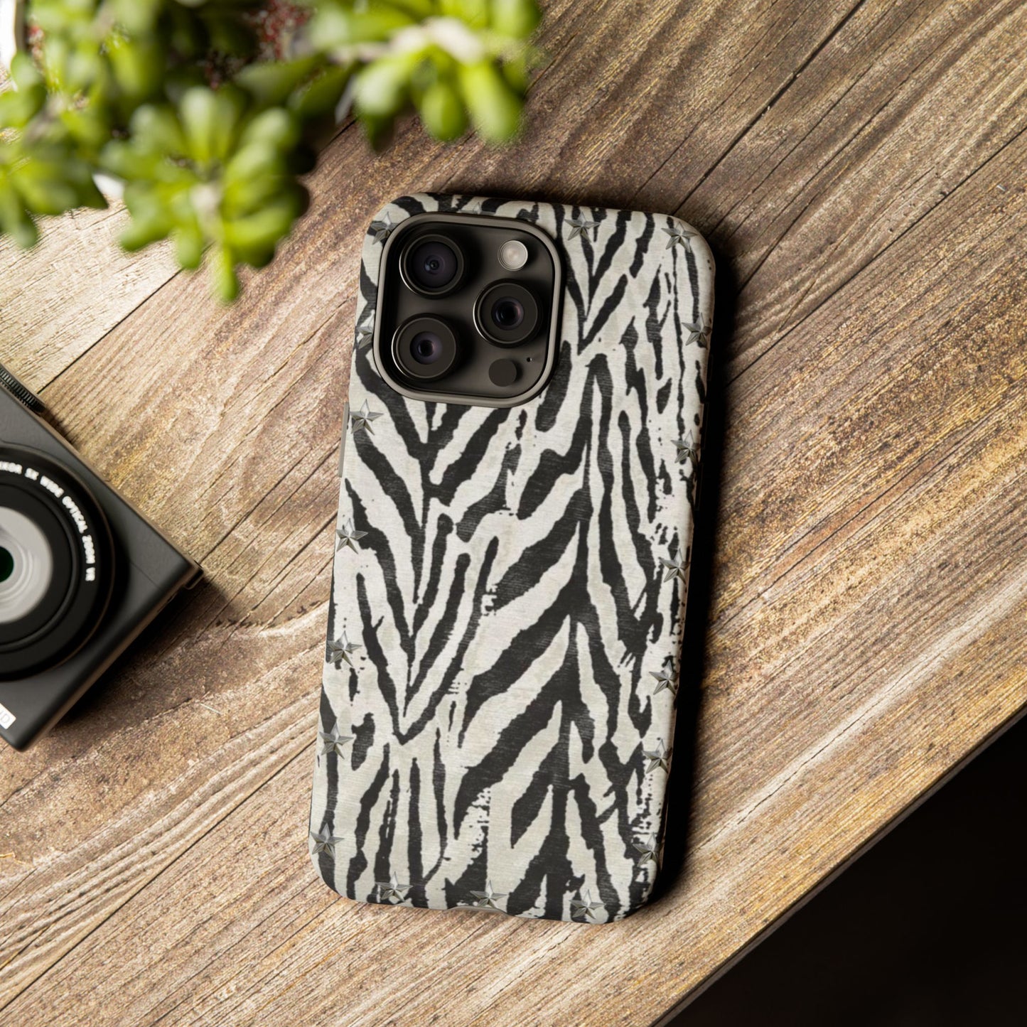 Studded Zebra