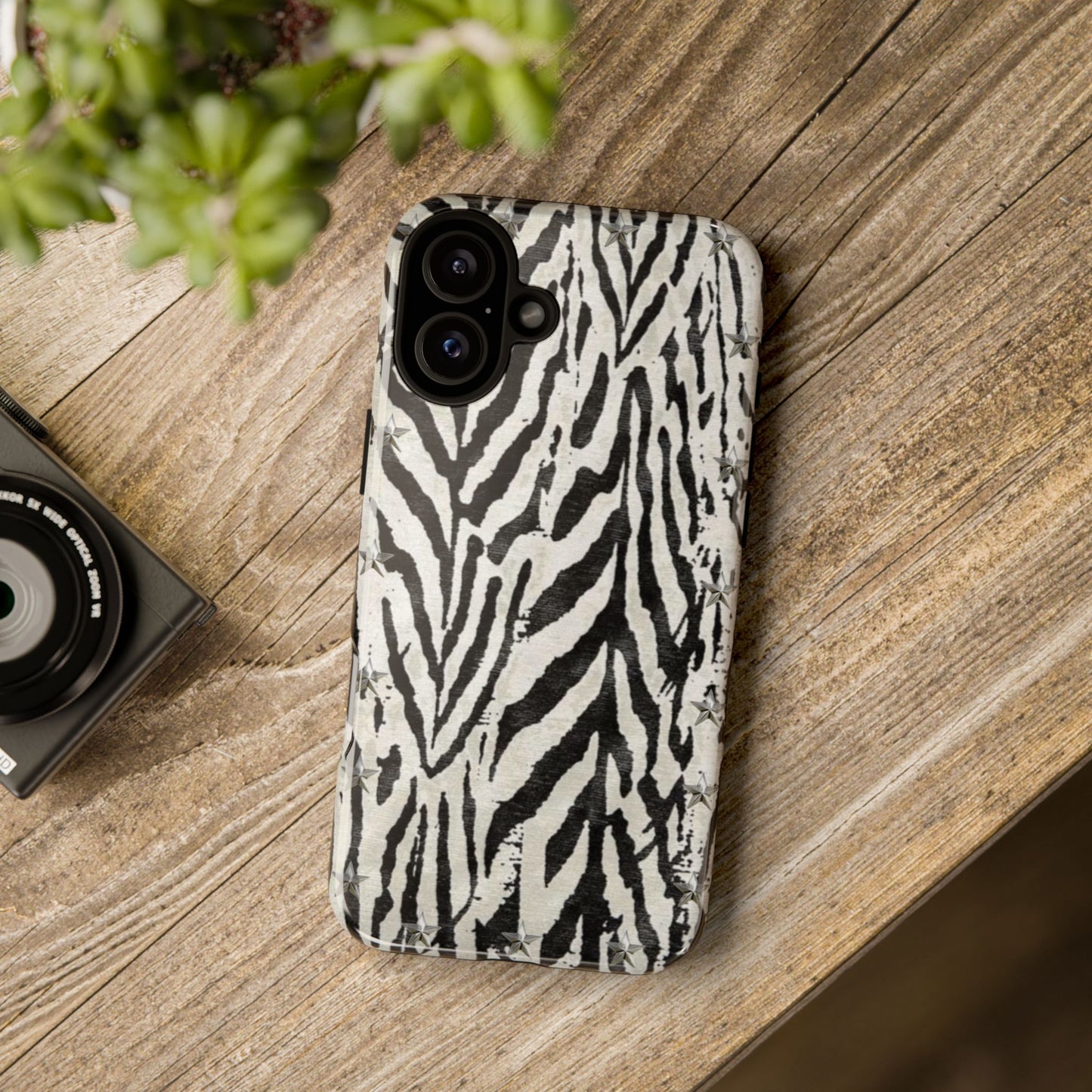 Studded Zebra